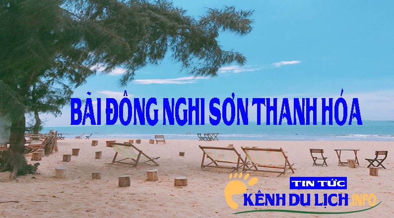 Bãi đông nghi sơn Thanh Hóa