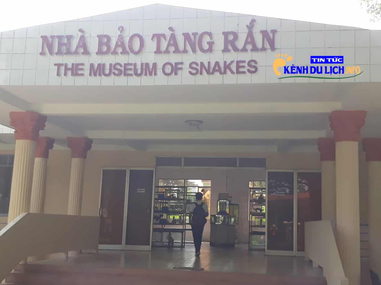 Bảo tàng rắn tiền giang