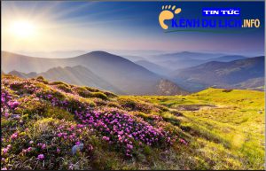 Mùa sim chín vào tháng mấy - Check-in vườn sim tím đẹp