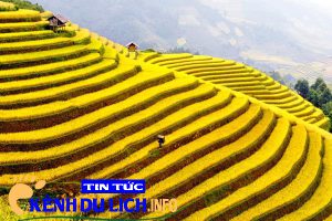 Hà Nội đi Sapa bao nhiêu km
