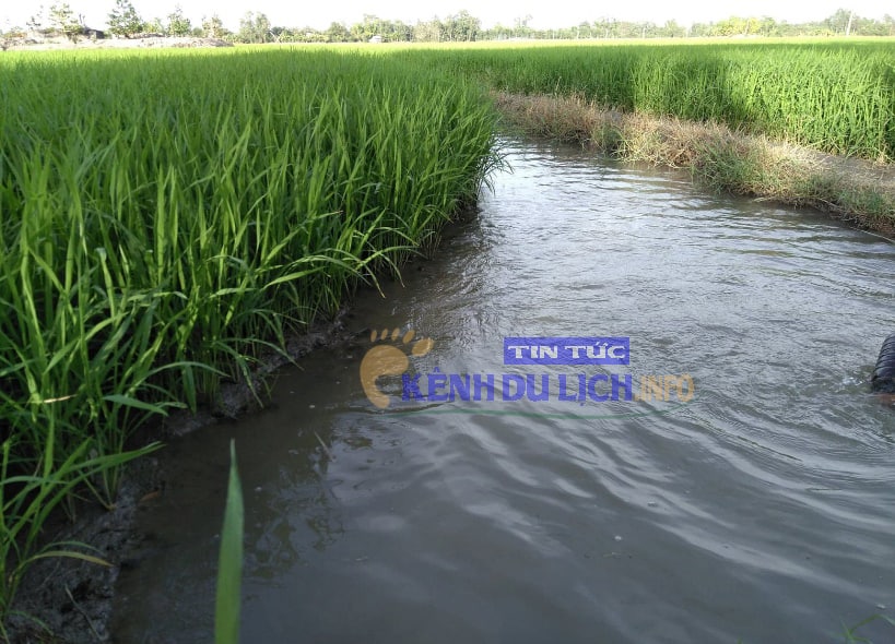 Khám phá du lịch Tiền Giang